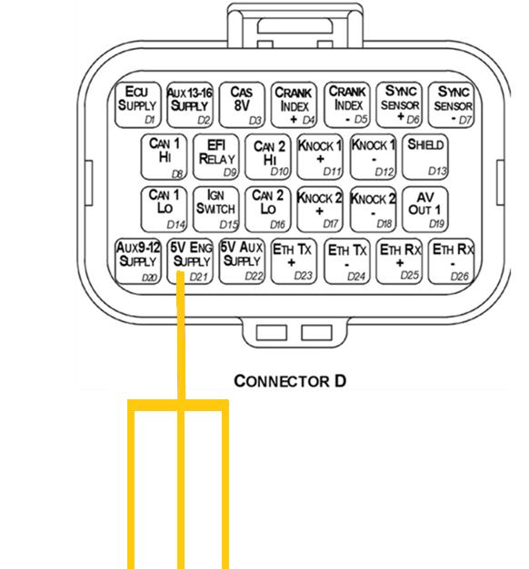 Pin D21 (5V Eng Supply) is a branched connection feeding the engine sensor 5V supply.