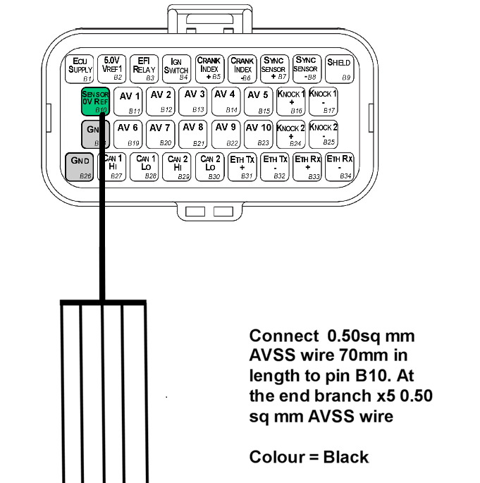 Pin B10 (Sensor Ground) is a branched connection feeding the analog sensor 0V references.